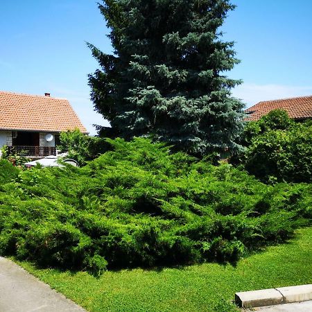 Apartment Dedine Golubac Exterior photo