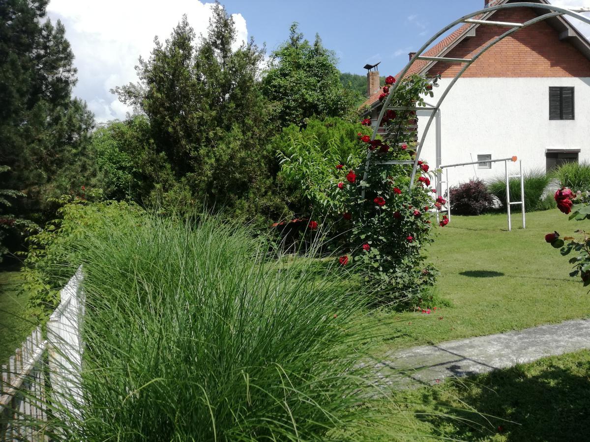 Apartment Dedine Golubac Exterior photo