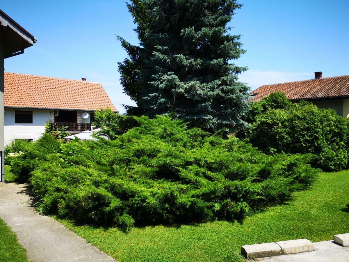 Apartment Dedine Golubac Exterior photo