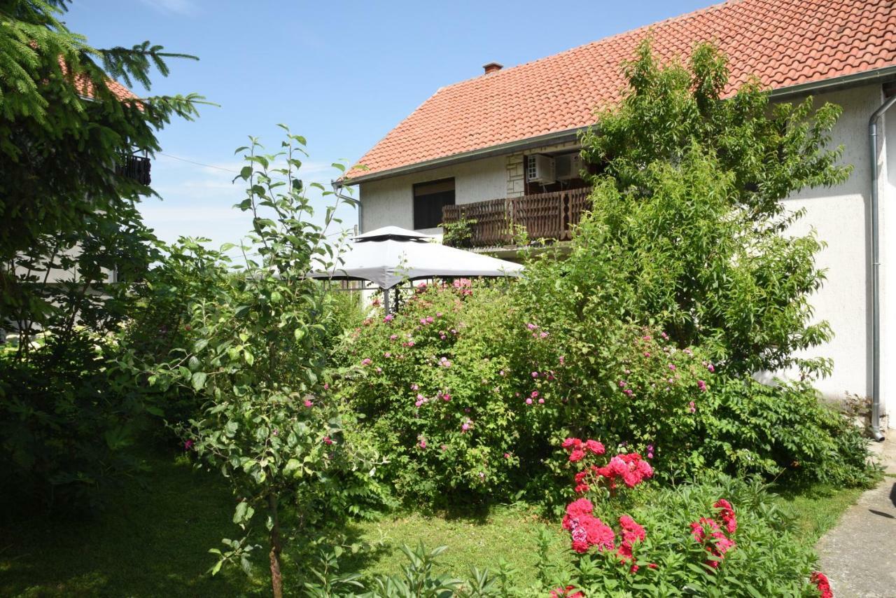 Apartment Dedine Golubac Exterior photo